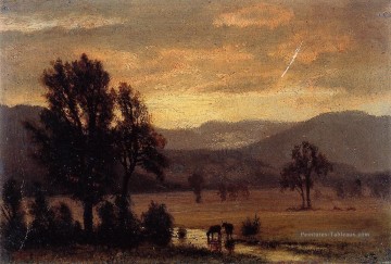 Paysage avec des bovins Albert Bierstadt Peinture à l'huile